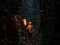 A man in a forest #ai