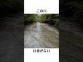 この川、川底がない。｜愛媛・滑床渓谷