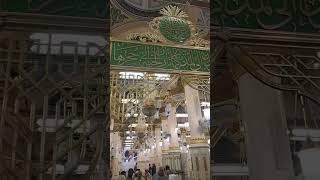 Suasana Raudhah ketika pintu samping belum ditutup #shortsvideo #shortvideo #shorts #short