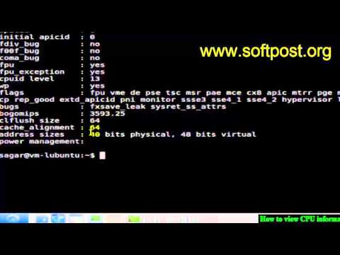 How to view CPU information in Arch Linux