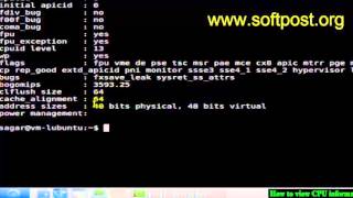 How to view CPU information in Arch Linux