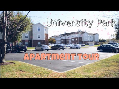 College Apartment Tour! | University Park - Salisbury University
