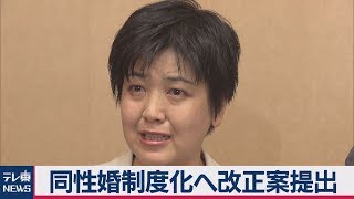 同性婚制度化へ改正案提出