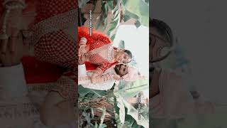 EDIUS Cinematic Song Project 😍 | Ready Made | Classic Video Mixing