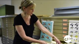 Explore Jamestown, New York: Roger Tory Peterson Institute of Natural History