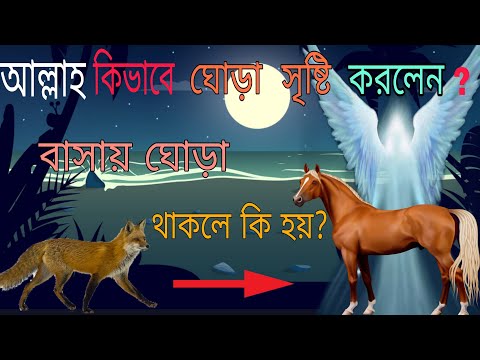 ভিডিও: ক্লোভার কি ঘোড়ার প্রতিষ্ঠাতা হবে?