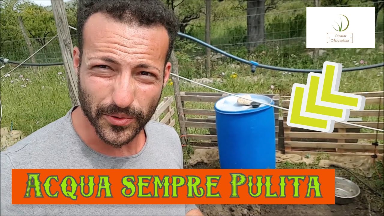 Pezzi Di Forniture Per Abbeveratoi Automatici Per Polli, Tazze Per Acqua Potabile Per Pulcini Quaglia Anatre Uccello 77068027 - 5
