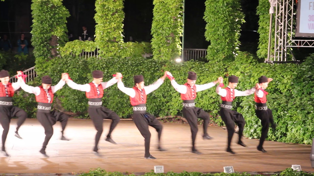 Представителен танцов ансамбъл при НГХНИ 