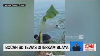 Bocah SD Tewas Diterkam Buaya