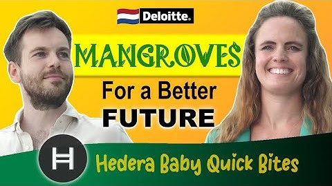 Deloitte Reforest Mangroves For a Sustainable Future