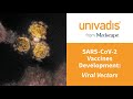 SARS-CoV-2 Vaccines Development: Viral Vectors