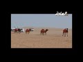 رجل الأعمال هزاع بن حنيف بن صيفان العاطفي إنتاج سمحات الوجيه