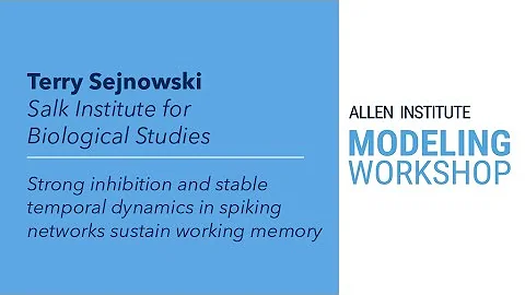 Allen Institute Modeling Workshop | Terry Sejnowski