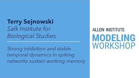 Allen Institute Modeling Workshop | Terry Sejnowski