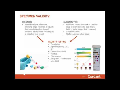 Detecting Urine Drug Test Tampering – Cordant Health Solutions Answers Top Drug Testing Questions