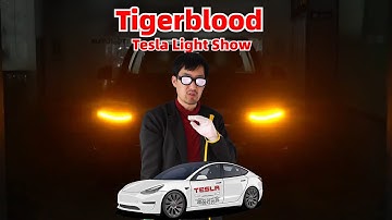 Making Tesla Custom Light Shows Tiger&blood Ikari Update #modely  #lightshow  #tesla  #model3 #ota