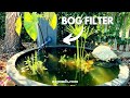 Cheap bog filter in a plant pot