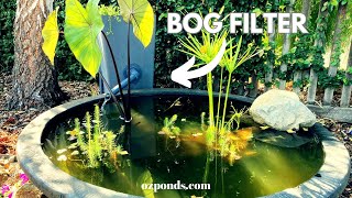 Cheap bog filter in a plant pot