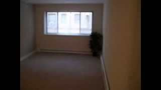 536 W ADDISON #293