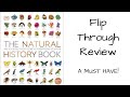 The natural history book the ultimate visual guide to everything on earth