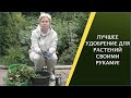 ГОТОВИМ ЗЕЛЕНОЕ УДОБРЕНИЕ! ЛУЧШЕЕ "УГОЩЕНИЕ" ДЛЯ ВАШИХ РАСТЕНИЙ!