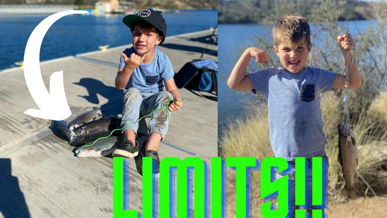 Dixon Lake Trout Fishing // EASY LIMITS! // Mini jig BITE!