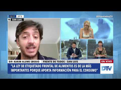 DTV El Periodismo en el Congreso con Melina Fleiderman - Programa 04/01/2021