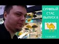 Рыбы, рыбки и два льва | Суровый Стас | Выпуск 8