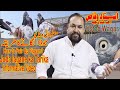 Joda lagane Ka Tariqa|Ustad Waqas|How to pair up pigeon|Breeding tips on pigeon|Informative Video|