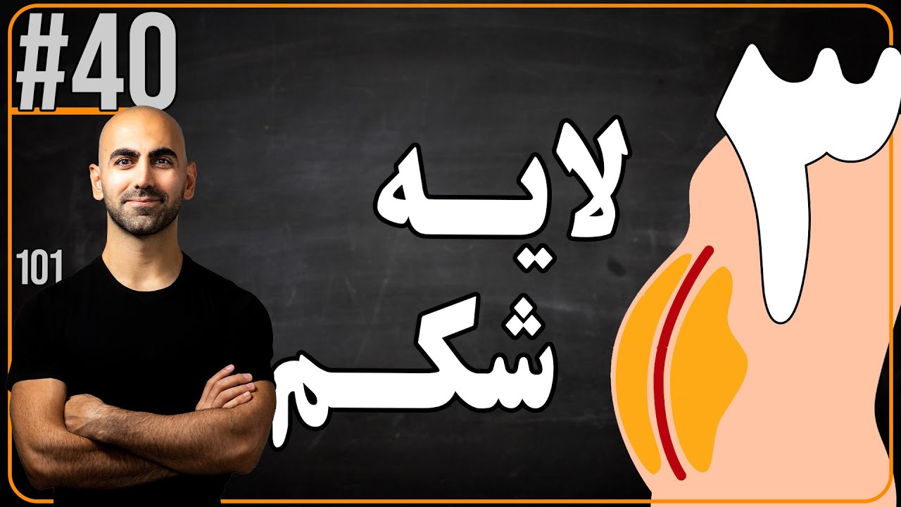#40 - چرا شکم آخر از همه لاغر میشه؟ ۳ لایه اصلیش رو بشناس