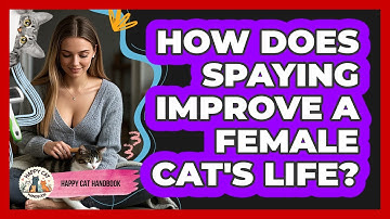 How Does Spaying Improve A Female Cat