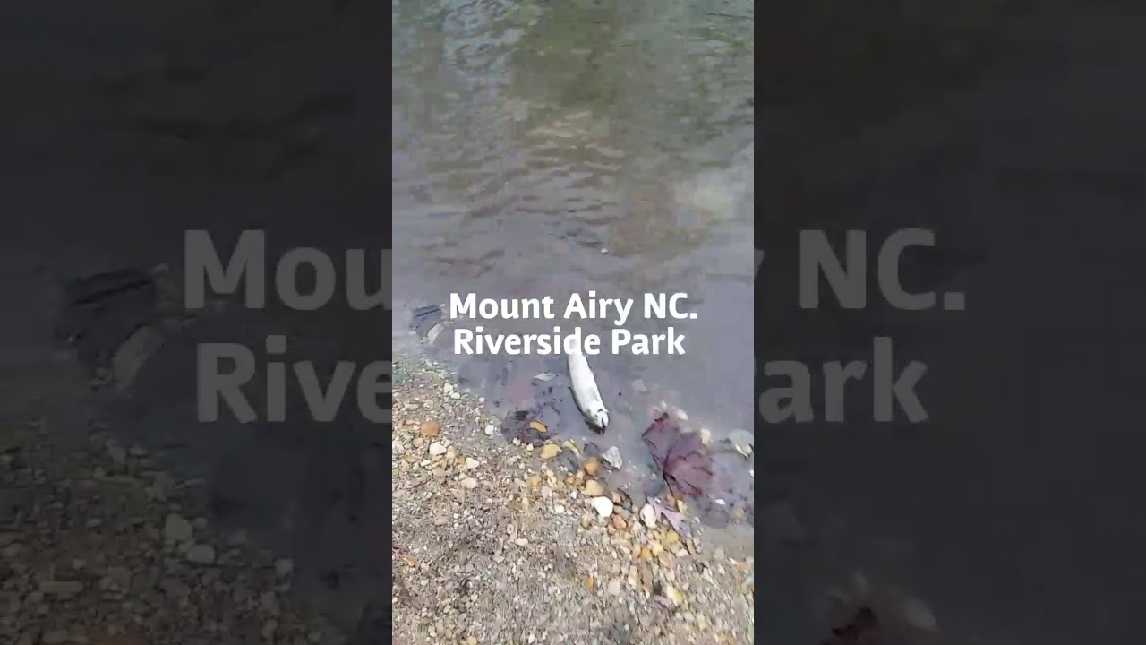 Trout fishing wasn't expected. 