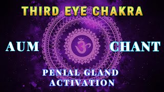 Soothing THIRD EYE CHAKRA CHANTS | Seed Mantra AUM Chanting Meditation (AJNA) Chakra Healing Music