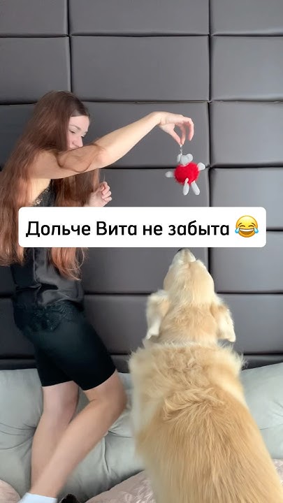 Теперь я умнее)) ️‍🔥 - YouTube