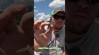 Rigging your Fluke is more important than you may think #bassfishing #fishing #fishingvideo