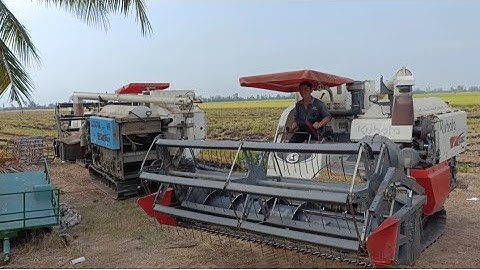 ba máy cắt lúa 105 không cần người hứng cắt tất nhanh nhìn rất hấp dẫn tập 53#maibangtv
