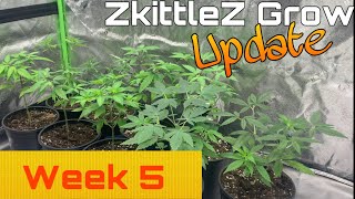 ZkittleZ Grow Garden Update - Week 5 #Spiderfarmer