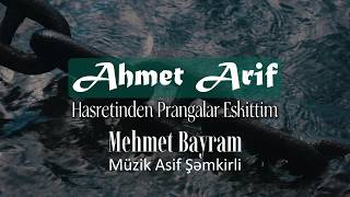 Ahmed Arif - Hasretinden Prangalar Eskittim Yorum - Mehmet Bayram