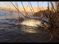 #6 Речная Рыбалка Утренний Клев Зацепы Ловля Голавля на Донку - Фидер с Берега