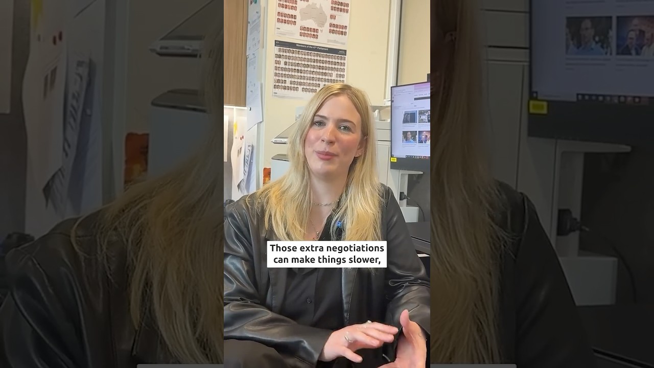 Minority government explained