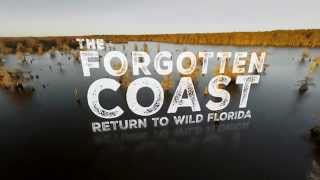 Forgotten Coast Tampa Theatre Premiere WUSF Public Media promo (:30)