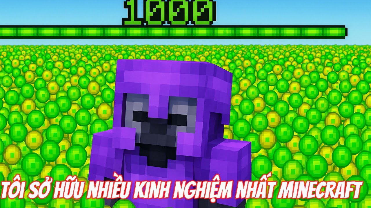 Tôi Sở Hữu Nhiều Kinh Nghiệm Nhất Minecraft | MeMaiRap