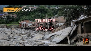 Tribute To Sailab Zadgan