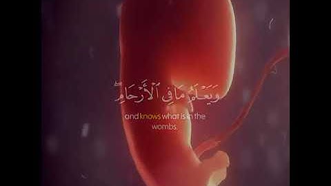 اروع تلاوة خاشعة بصوت اسلام صبحي ♥️ حالات واتس اب قران كريم 😴