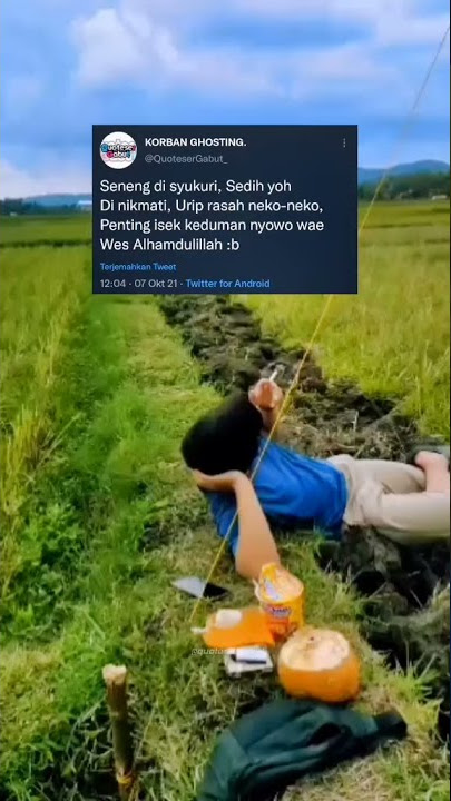 #story WA keren#