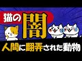 【猫の歴史】なぜ猫は人間に翻弄されてしまったのか?その理由をわかりやすく解説