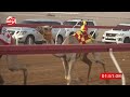 الشوط 9 غناضه لـ خالد سيف محمد الشامسي 2 56 شارة الصندوق 2024 9 1 فطامين سيح صبرة