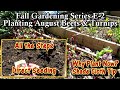 How to &amp; Why You Plant Beets &amp; Turnips in August: Cool Crops! Planting &amp; Planning a Fall Garden E2