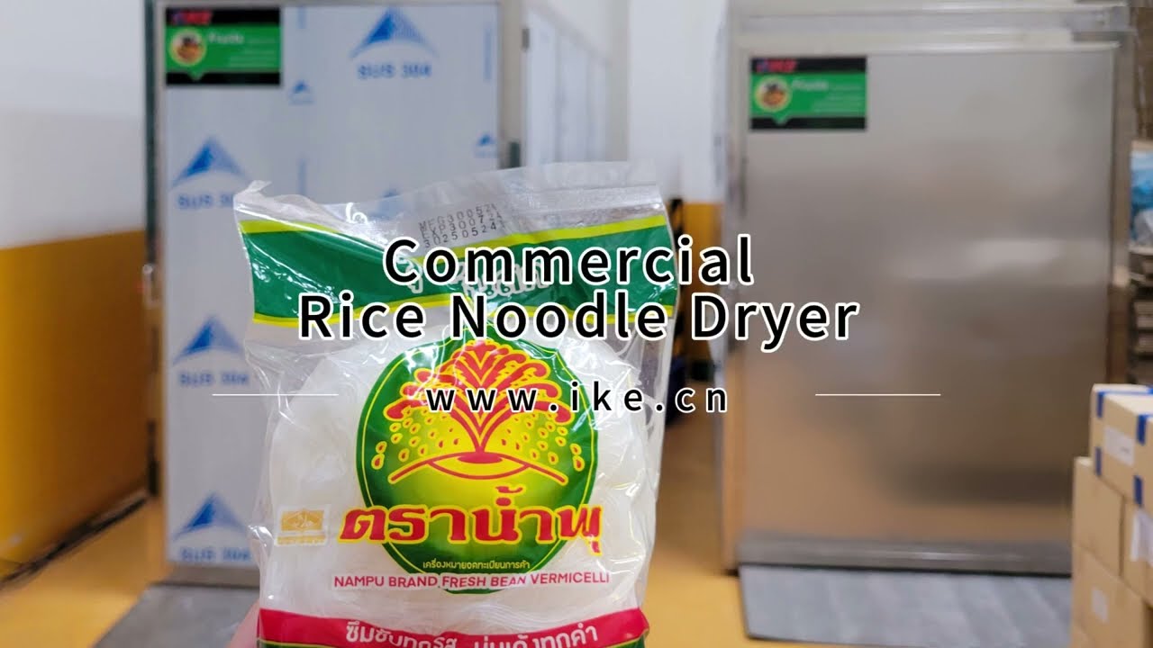 AIO DF300 Commercial Rice Noodle Dryer - Thailand Drying Project