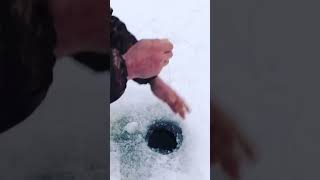 #icefishing #fishing #fishingtrip #winterfishing #frozenfish #icefishingtips #frozenlake